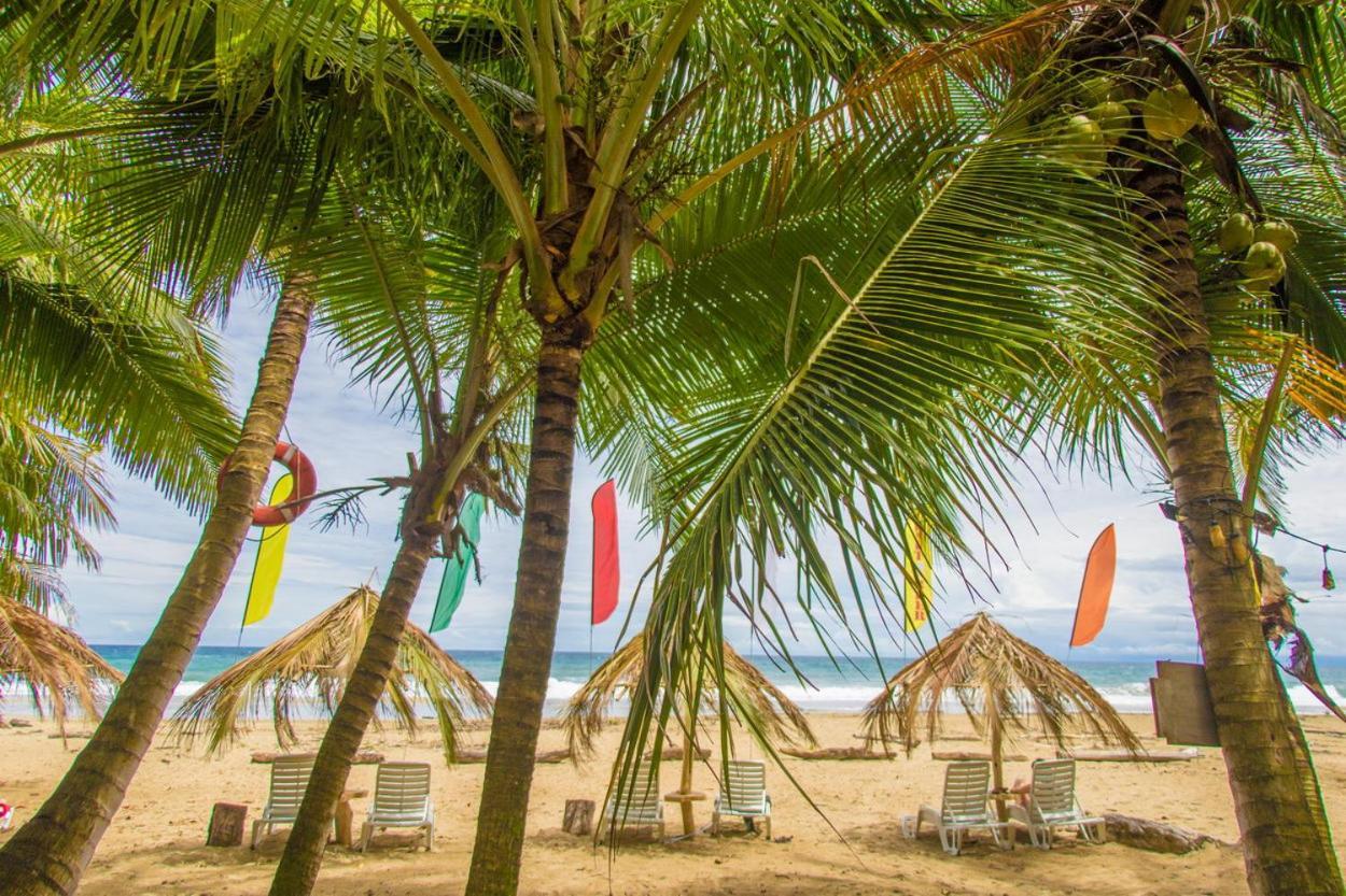 Playa 506 Beachfront Hostel Puerto Viejo de Talamanca Luaran gambar