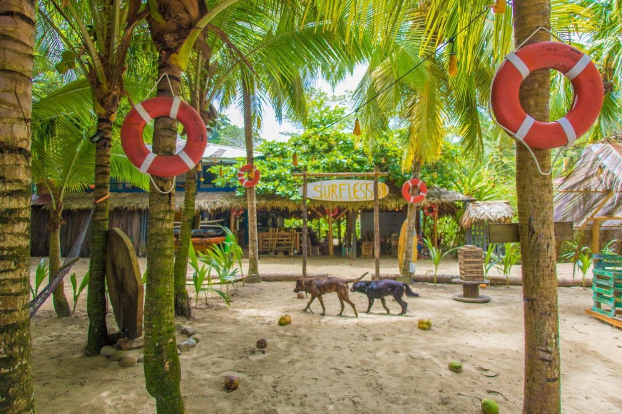Playa 506 Beachfront Hostel Puerto Viejo de Talamanca Luaran gambar