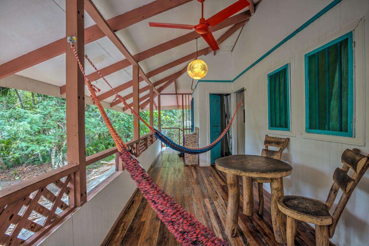 Playa 506 Beachfront Hostel Puerto Viejo de Talamanca Luaran gambar